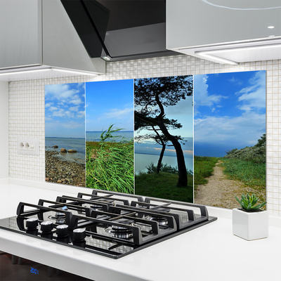 Keuken achterwand glas met print Strandboomlandschap