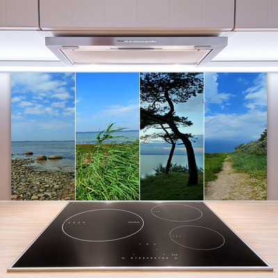 Keuken achterwand glas met print Strandboomlandschap