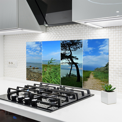 Keuken achterwand glas met print Strandboomlandschap