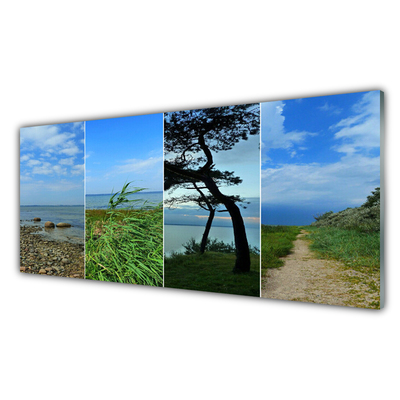 Keuken achterwand glas met print Strandboomlandschap