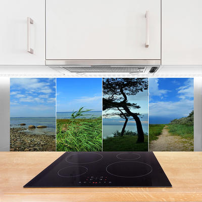 Keuken achterwand glas met print Strandboomlandschap