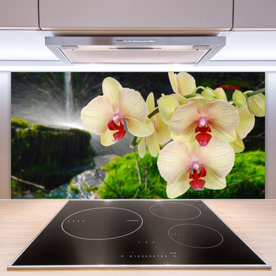 Keuken achterwand glas met print Bomen natuurplant