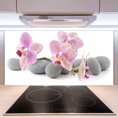 Keuken achterwand glas met print Boom stenen plant