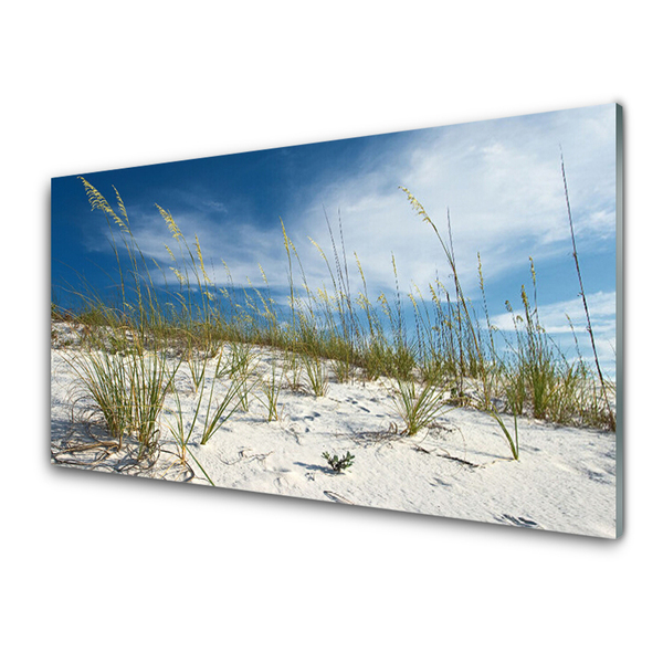 Keuken achterwand glas met print Strandlandschap