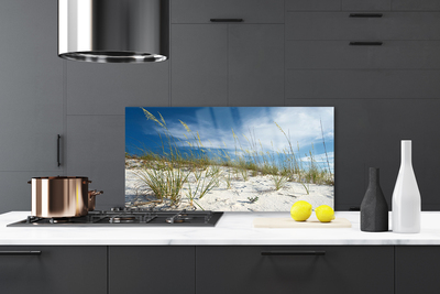 Keuken achterwand glas met print Strandlandschap