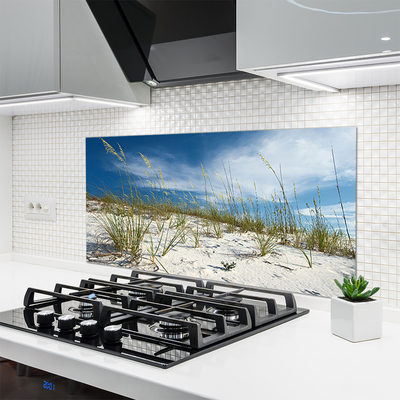 Keuken achterwand glas met print Strandlandschap