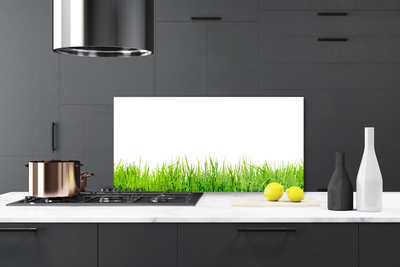 Keuken achterwand glas met print Gras natuurplant