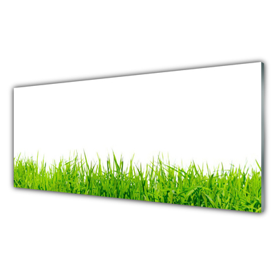 Keuken achterwand glas met print Gras natuurplant