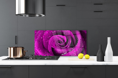Keuken achterwand glas met print Rose flower plant nature