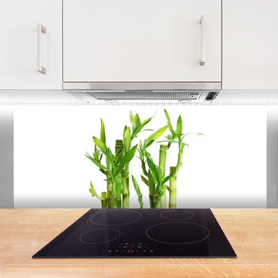 Keuken achterwand glas met print Bamboe stem flower plant