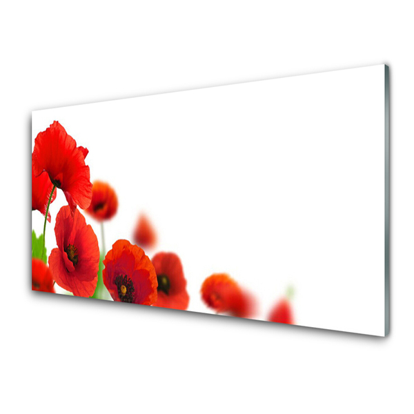 Keuken achterwand glas met print Red maki nature