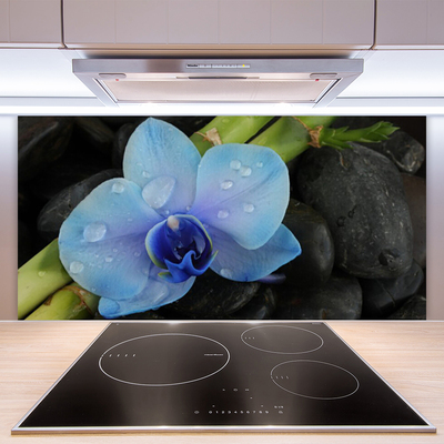 Keuken achterwand glas met print Bloemstenen plant