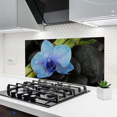 Keuken achterwand glas met print Bloemstenen plant