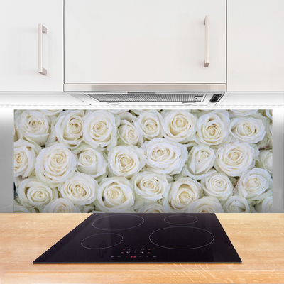 Keuken achterwand glas met print Rozen bloemen plant