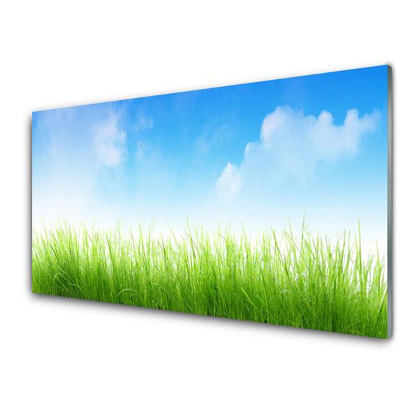 Keuken achterwand glas met print Gras natuurplant