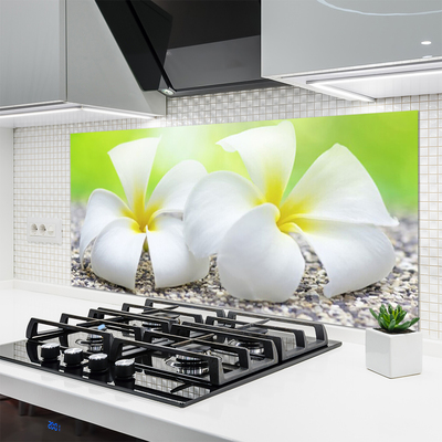 Keuken achterwand glas met print Bloemen plantaardige aard