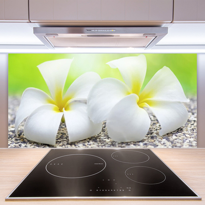 Keuken achterwand glas met print Bloemen plantaardige aard