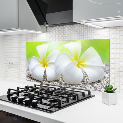 Keuken achterwand glas met print Bloemen plantaardige aard