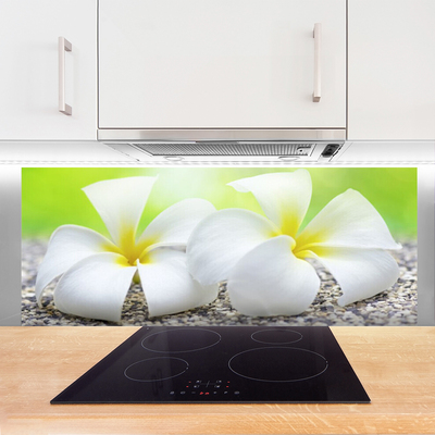 Keuken achterwand glas met print Bloemen plantaardige aard