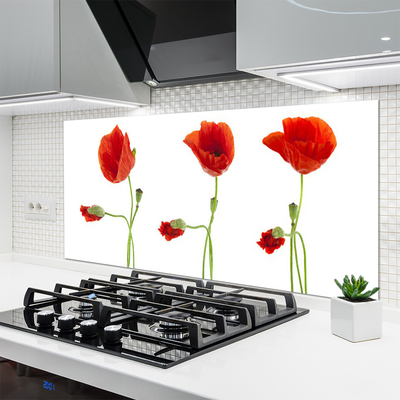 Keuken achterwand glas met print Maki plant nature