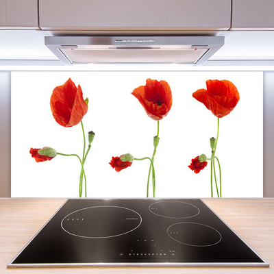 Keuken achterwand glas met print Maki plant nature