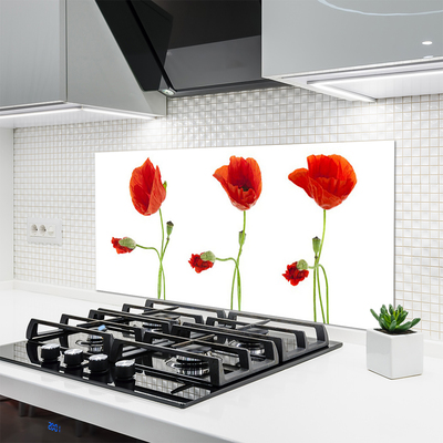 Keuken achterwand glas met print Maki plant nature