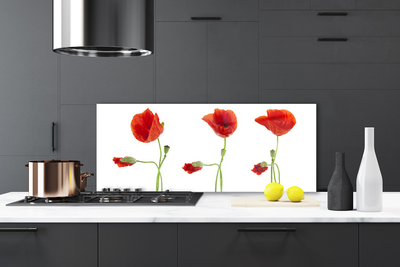 Keuken achterwand glas met print Maki plant nature