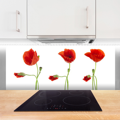 Keuken achterwand glas met print Maki plant nature