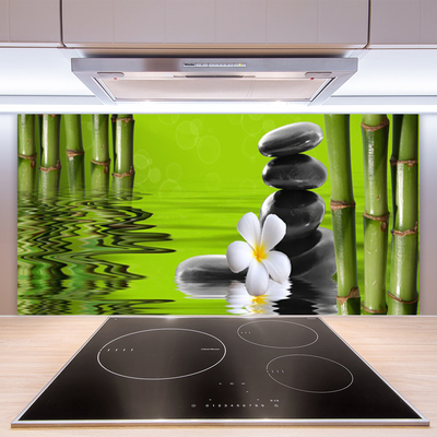 Keuken achterwand glas met print Bamboe stenen plant