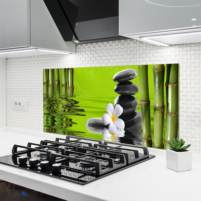 Keuken achterwand glas met print Bamboe stenen plant