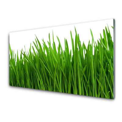 Keuken achterwand glas met print Gras plantaard