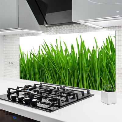 Keuken achterwand glas met print Gras plantaard