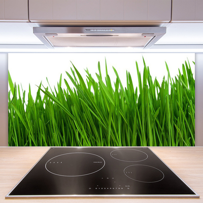 Keuken achterwand glas met print Gras plantaard