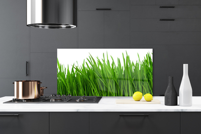 Keuken achterwand glas met print Gras plantaard