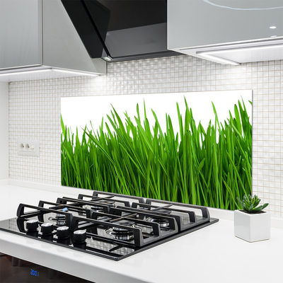 Keuken achterwand glas met print Gras plantaard