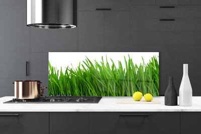 Keuken achterwand glas met print Gras plantaard