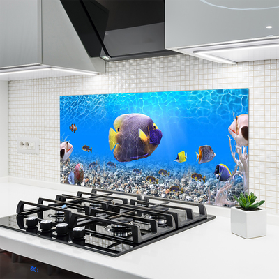 Keuken achterwand glas met print Visaard