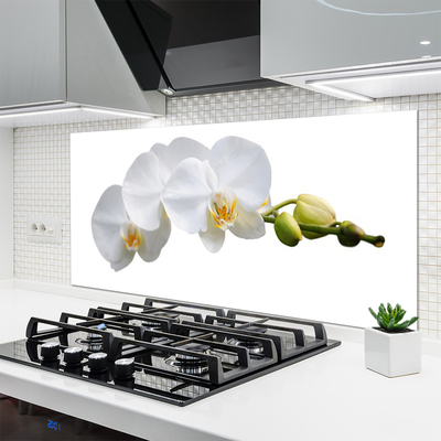 Keuken achterwand glas met print Bloemen plantaardige aard