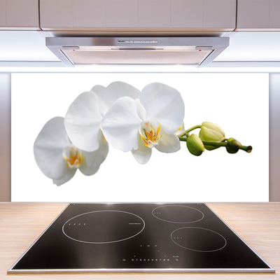 Keuken achterwand glas met print Bloemen plantaardige aard