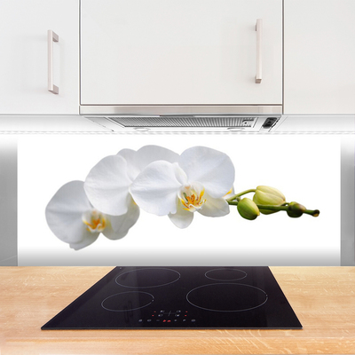 Keuken achterwand glas met print Bloemen plantaardige aard