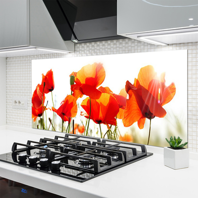 Keuken achterwand glas met print Maki plant nature