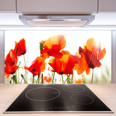 Keuken achterwand glas met print Maki plant nature