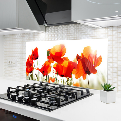 Keuken achterwand glas met print Maki plant nature