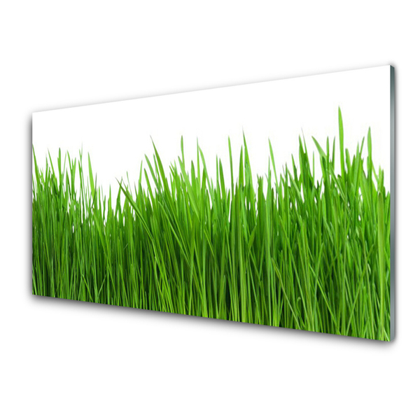 Keuken achterwand glas met print Gras plantaard