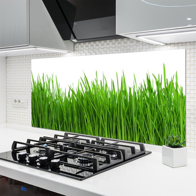 Keuken achterwand glas met print Gras plantaard