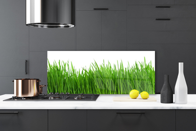 Keuken achterwand glas met print Gras plantaard