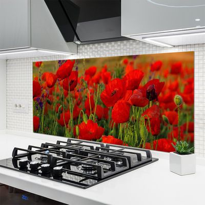 Keuken achterwand glas met print Maki plant nature