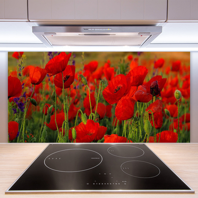 Keuken achterwand glas met print Maki plant nature