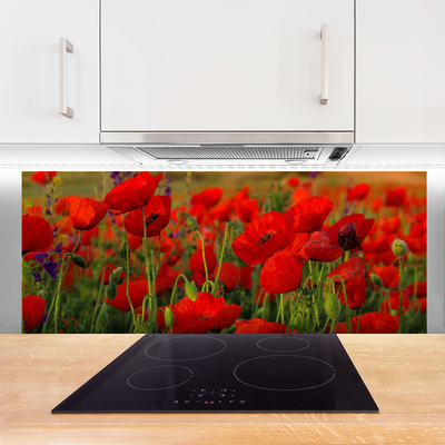 Keuken achterwand glas met print Maki plant nature