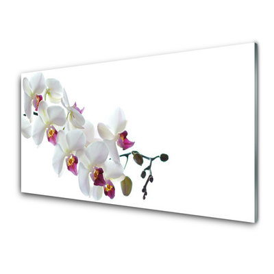 Keuken achterwand glas met print Bloemen plantaardige aard